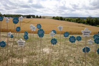 Bleuets et myosotis en hommage aux combattants tombés lors de la reprise de la Caverne du Dragon le 25 juin 1917