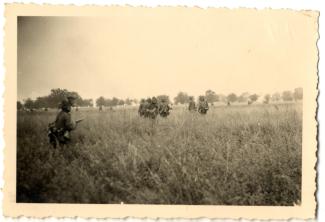 Infanterie allemande avançant en terrain découvert vers le Chemin des Dames dans l’Aisne le 5 juin 1940 (campagne de France)